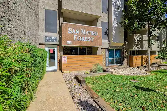 San Mateo Forest - Dallas, TX - Photo 34