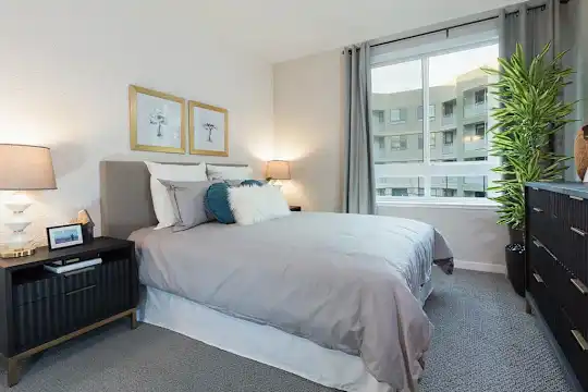 The Standard (CA) - San Jose, CA - Photo 28