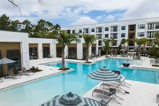 The Residences at Enso - Jacksonville, FL - Photo 6