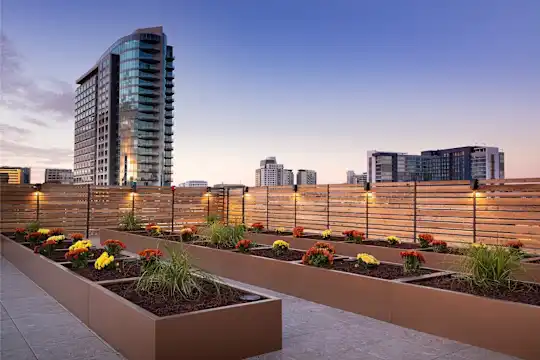 The Taft - San Jose, CA - Photo 84