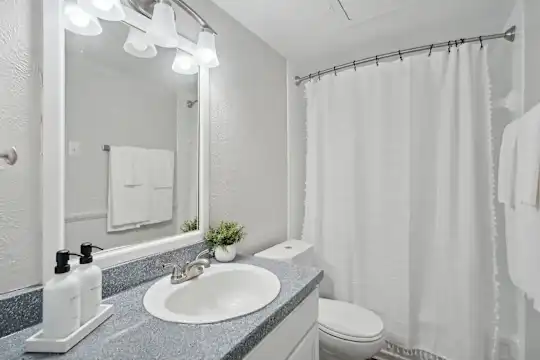 La Fortuna Apartments - Dallas, TX - Photo 14