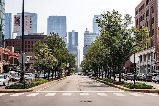 Ashland Place - Chicago, IL - Photo 11