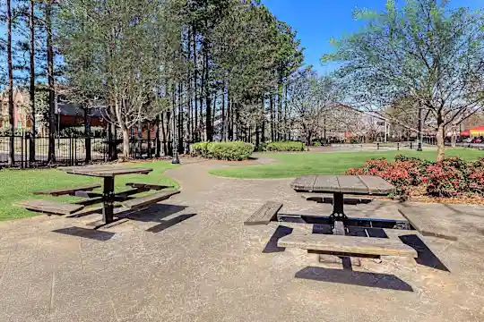 The Villages of Castleberry I&II - Atlanta, GA - Photo 7