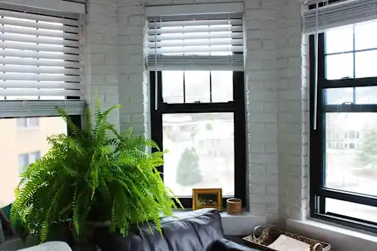Carlyle Apartments - Kansas City, MO - Photo 2