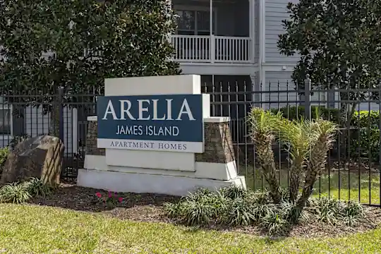 Arelia James Island - Jacksonville, FL - Photo 19