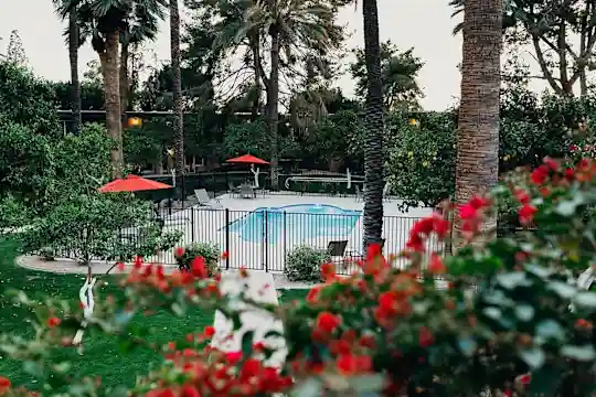 Oasis in the City - Phoenix, AZ - Photo 1