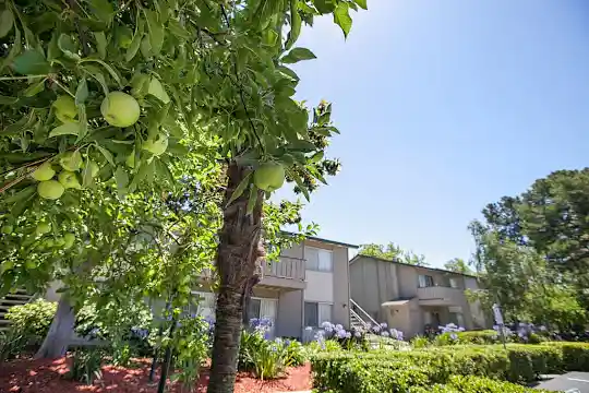 Campbell West Apartments - Campbell, CA - Photo 5