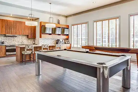 Nolina Flats - Austin, TX - Photo 26