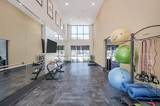 Cendana District West - Richmond, TX - Photo 39
