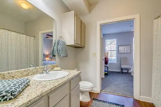 South Bluffs Apartments - Memphis, TN - Photo 29
