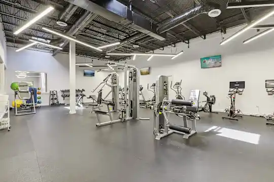 Centro Studio Homes - Austin, TX - Photo 37