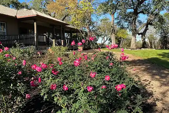 Tramor at Oak Run - Austin, TX - Photo 2