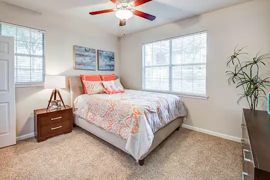 Nolina Flats - Austin, TX - Photo 13