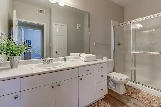 The Saulet Apartments - New Orleans, LA - Photo 22