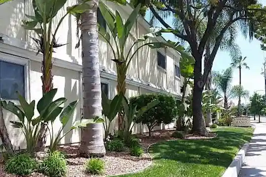 Capitol Ave Apartments - San Jose, CA - Photo 4