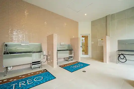 Treo Apartments - Fort Lauderdale, FL - Photo 23