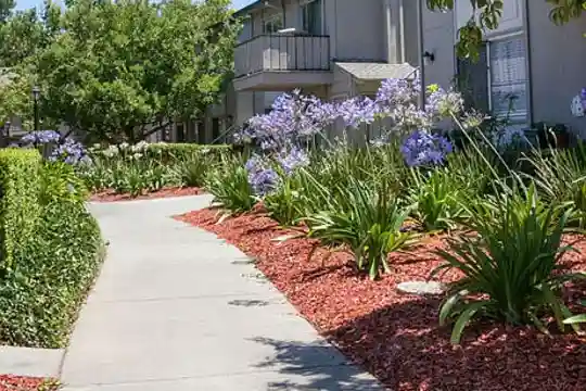 Campbell West Apartments - Campbell, CA - Photo 3