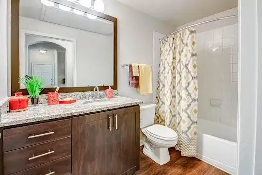 Nolina Flats - Austin, TX - Photo 15