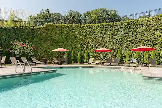 Greystone Vista - Knoxville, TN - Photo 16