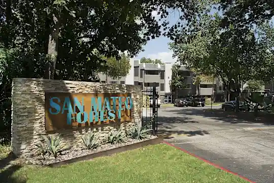 San Mateo Forest - Dallas, TX - Photo 23