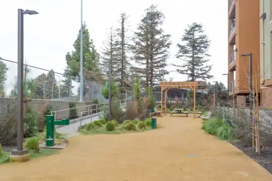 Latitude 37 - San Jose, CA - Photo 8