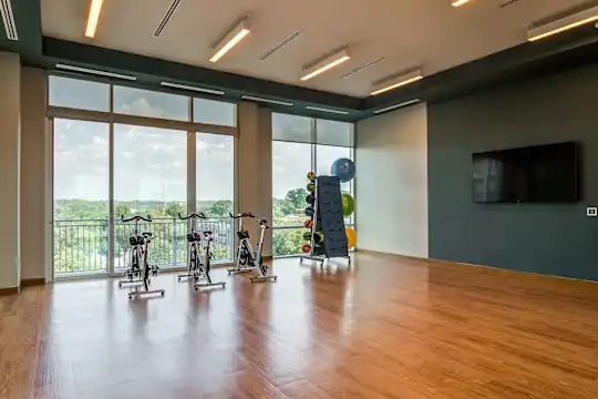 Piedmont House - Atlanta, GA - Photo 30