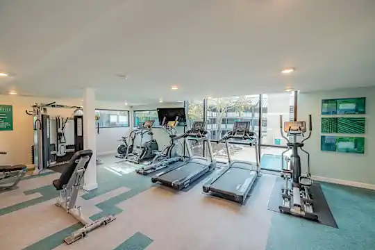 The Hedge Apartments - Austin, TX - Photo 6