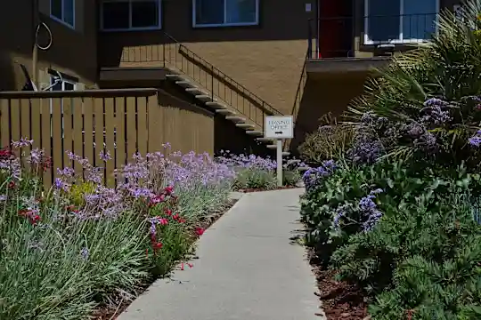 Viva Apartments - San Jose, CA - Photo 1