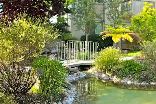 Spring Creek Apartments - Santa Clara, CA - Photo 7