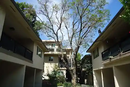 The Glen Creek - San Jose, CA - Photo 2