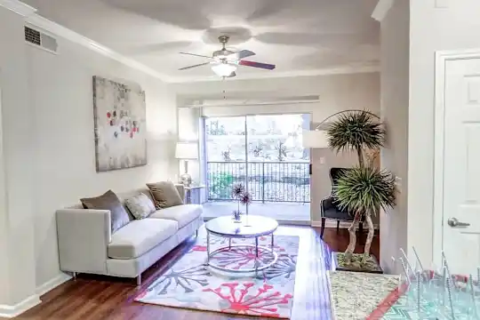 Nolina Flats - Austin, TX - Photo 8