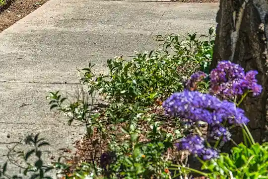Plum Orchard Apartments - San Jose, CA - Photo 27