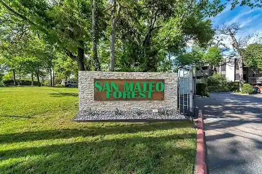 San Mateo Forest - Dallas, TX - Photo 2