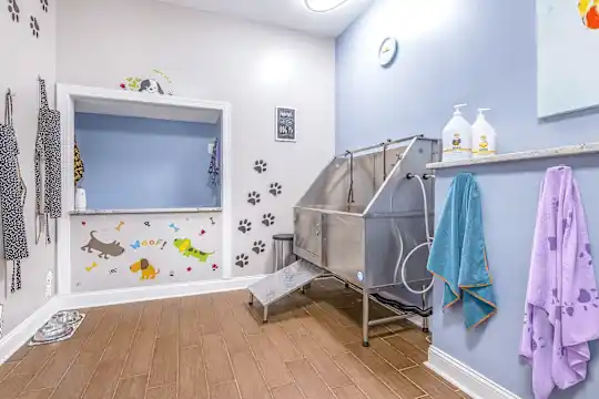 Elan at Mallard Creek Apartment Homes - Charlotte, NC - Photo 51