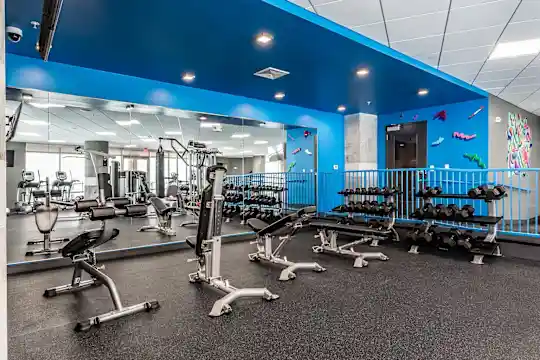 Gallerie Apartments - Kansas City, MO - Photo 56