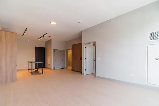 920 N Wells - Chicago, IL - Photo 28