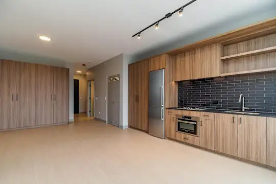 920 N Wells - Chicago, IL - Photo 50