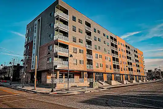 One Nine Vine Apartments - Kansas City, MO - Photo 44