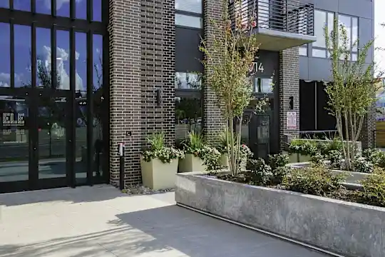 Ele - Dallas, TX - Photo 14