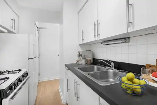 2630 North Hampden - Chicago, IL - Photo 11