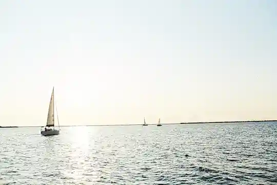 The Shoreline - Cleveland, OH - Photo 30