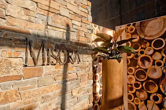 Misora - San Jose, CA - Photo 2