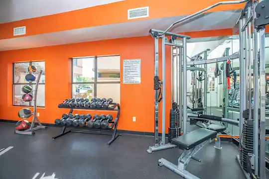 Pear Tree Apartments - El Paso, TX - Photo 8