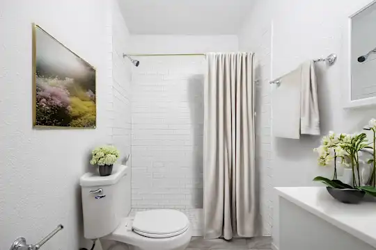 1217 N Mesa St - El Paso, TX - Photo 8