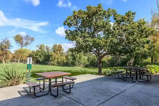 Parkside Terrace - San Jose, CA - Photo 16