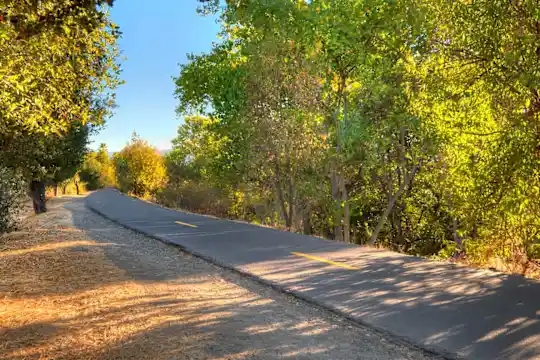 Woodleaf - Campbell, CA - Photo 33
