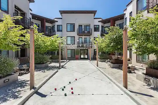 Mio - San Jose, CA - Photo 6