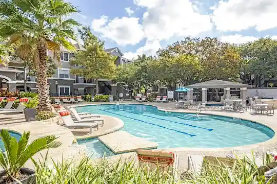Nolina Flats - Austin, TX - Photo 19