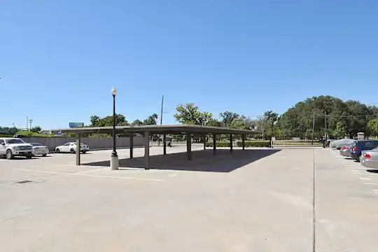 Midtown Grove - Houston, TX - Photo 34
