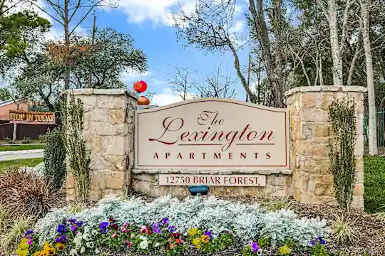 The Lexington Apartments - Houston, TX - Photo 2